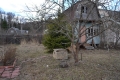 DSC_0906.JPG