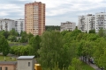15_vid_kur5-49