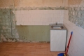 11_shishkinles_21_107