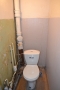 16_shishkinles_21_107