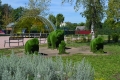 19_shishkinles_21_107