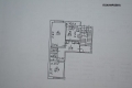 21_shishkinles_21_107