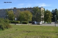 6_shishkinles_21_107