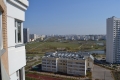 DSC_0907.JPG