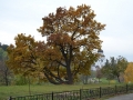 DSC_0149.JPG